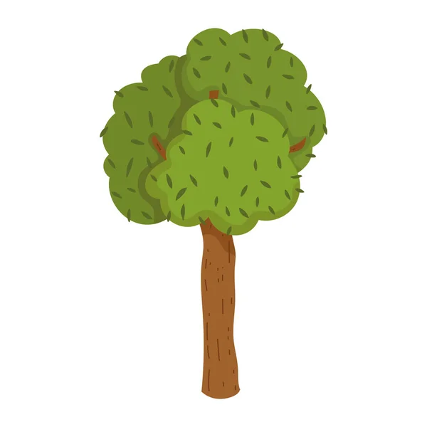 Träd grönska växt skog lövverk isolerad ikon design vit bakgrund — Stock vektor