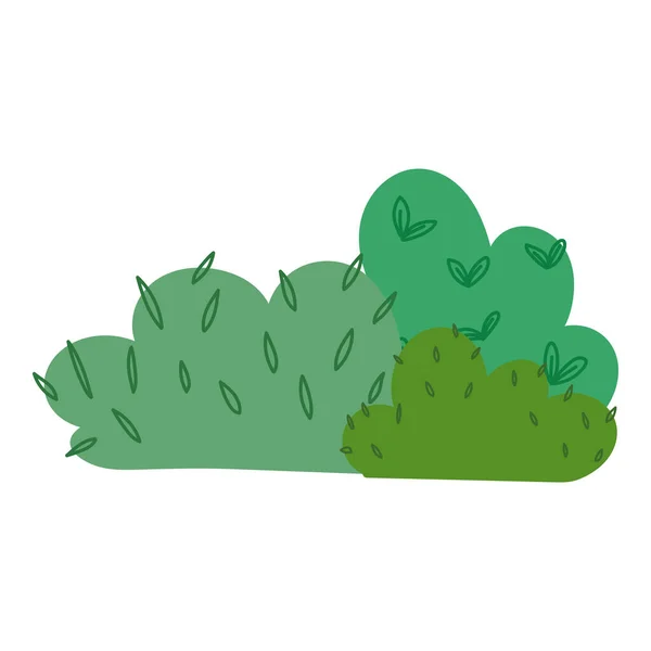 Buske blad naturlig vegetation isolerad ikon design vit bakgrund — Stock vektor