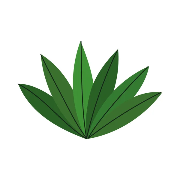 Planta hojas follaje naturaleza aislado icono diseño blanco fondo — Vector de stock