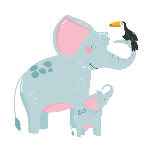 Animales lindos elefantes tucán naturaleza dibujos animados salvajes — Vector de stock