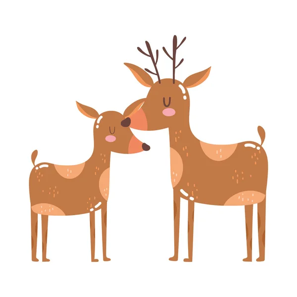 Cute animals reindeers cartoon isolated icon design white background — Stock Vector