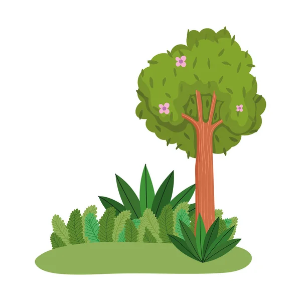 Árboles follaje naturaleza hierba flores aislado icono diseño blanco fondo — Vector de stock