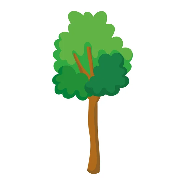 Bosque árbol follaje verde dibujos animados aislado icono de diseño — Vector de stock