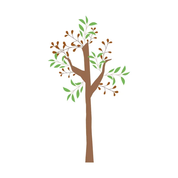 Floresta árvore ramos folhas folhagem verde desenho animado —  Vetores de Stock
