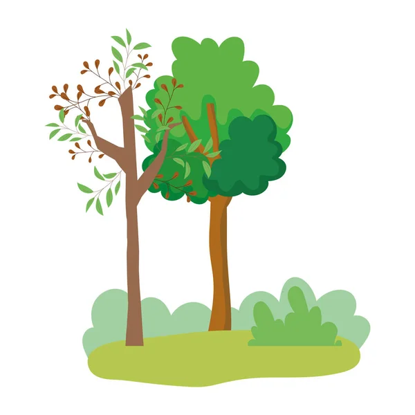 Деревья леса кусты травы листья листвы мультфильм дизайн — стоковый вектор
