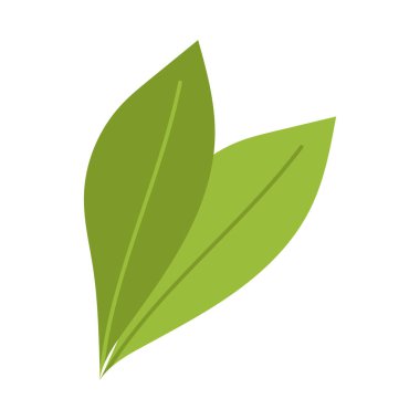 Yaprak doğası bitkisel karikatür beyaz arkaplan izole