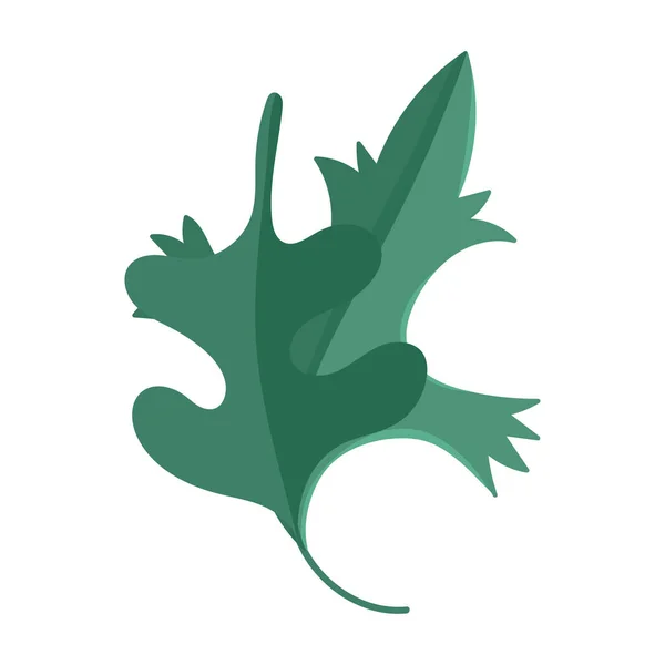 Φύλλα βιολογικά λαχανικά φρέσκα κινούμενα σχέδια απομονωμένο εικονίδιο λευκό φόντο — Διανυσματικό Αρχείο