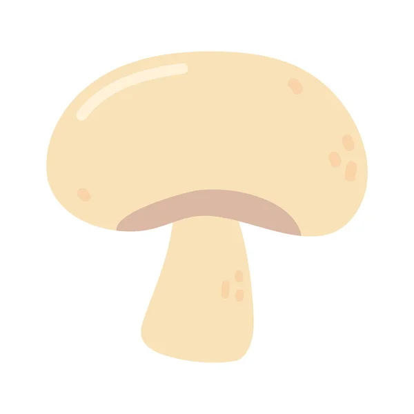 Organic fresh mushroom food isolated icon design white background — Stock Vector