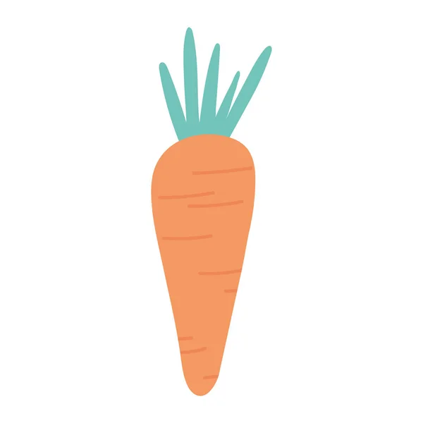Zanahoria orgánica vegetal fresca aislado icono diseño fondo blanco — Vector de stock