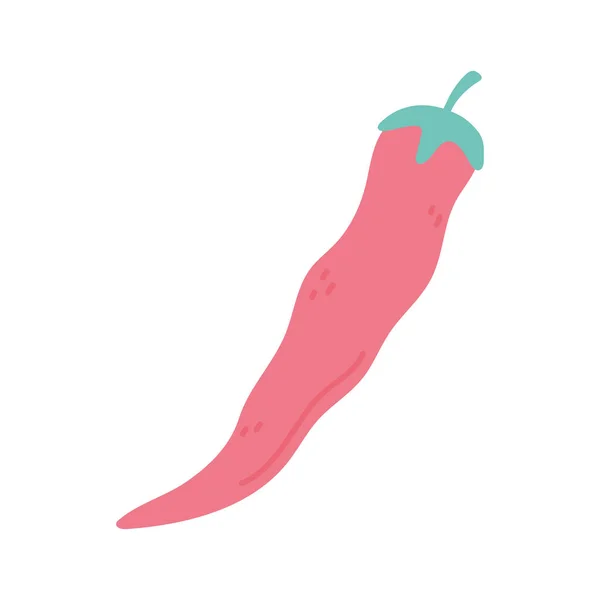 Chili peppar krydda färsk isolerad ikon design vit bakgrund — Stock vektor