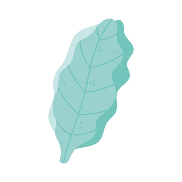 Zielony liść liście natura odizolowany ikona projekt biały tło — Wektor stockowy