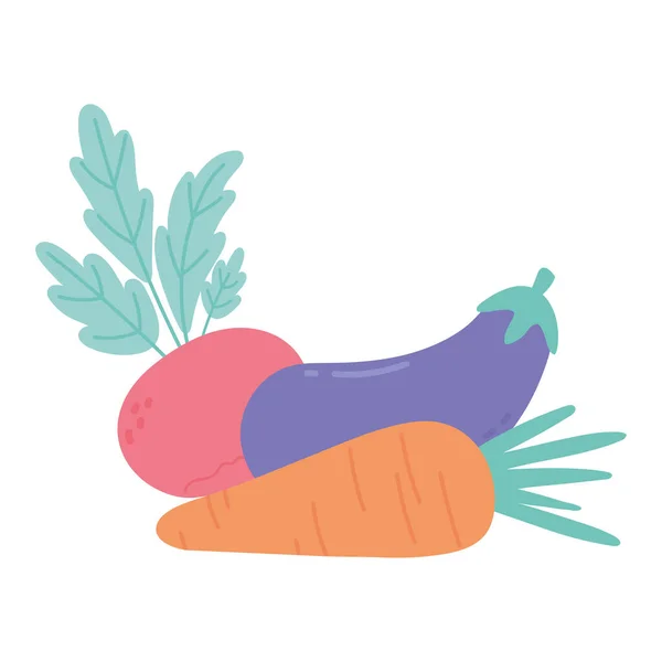 食物新鲜萝卜茄子和胡萝卜隔离图标设计白色背景 — 图库矢量图片