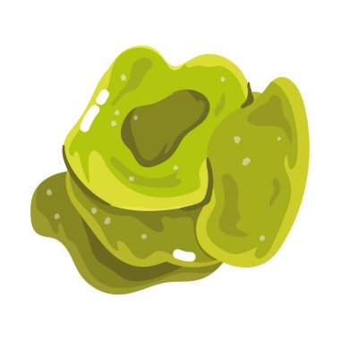 marul taze karikatür izole edilmiş beyaz arkaplan