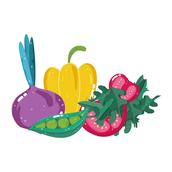 Livsmedel grönsaker peppar betor rädisor och tomat meny färsk kost ingrediens — Stock vektor