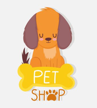 Evcil hayvan dükkanı, küçük köpek, kemik bakıcısı veteriner kliniği yemeği.