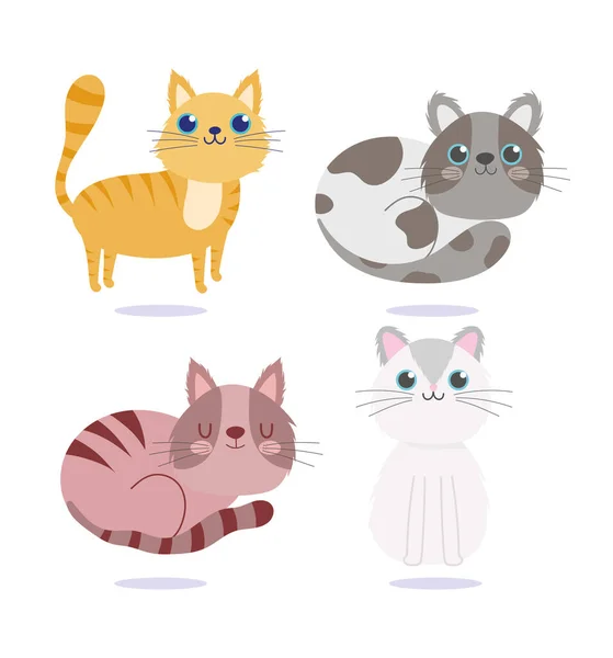 Tienda de mascotas, lindos gatos adorable animal de dibujos animados domésticos — Vector de stock