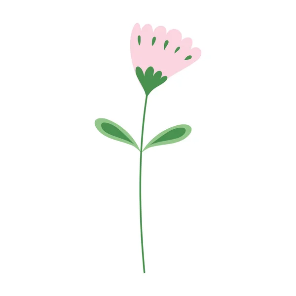 Roze bloem stengel bladeren natuur decoratie geïsoleerd pictogram ontwerp — Stockvector