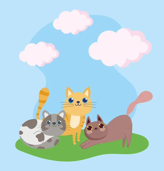 宠物店，可爱的猫猫科动物家庭漫画 — 图库矢量图片