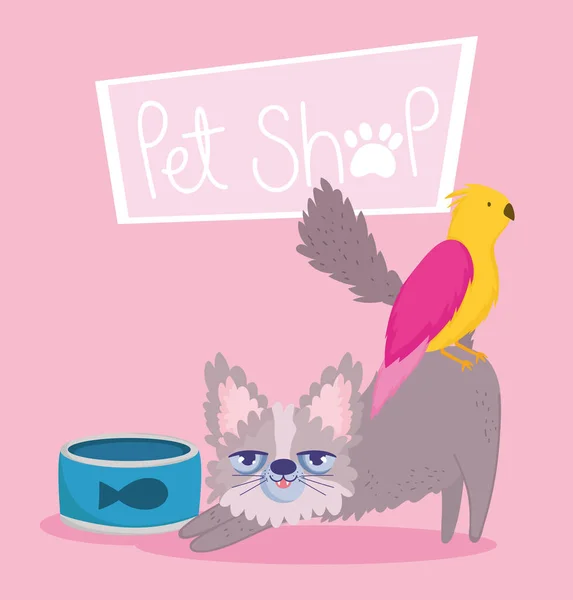 Pet shop, small fluffy cat bird and food in bowl animal domestic cartoon — Stock Vector