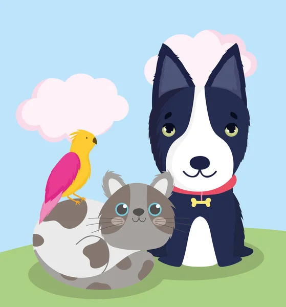 Tienda de mascotas, perro negro gato y aves animales dibujos animados domésticos — Vector de stock