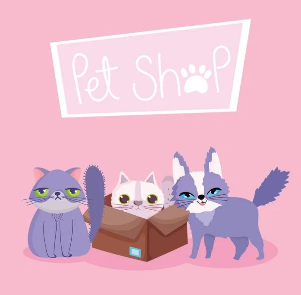 宠物店,丑陋毛绒绒的猫在盒装动物家庭卡通片 — 图库矢量图片