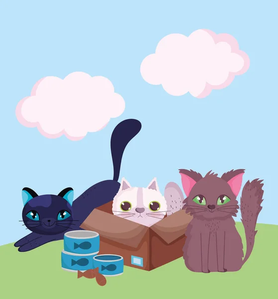 Evcil hayvan dükkanı, karton kutuda kedi ve çimen çizgi filminde yiyecek olan kedi yavruları. — Stok Vektör