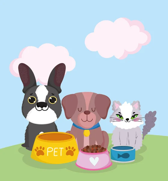 Háziállat bolt, aranyos macska és kutyák ül élelmiszer -ban tálak állat házi rajzfilm — Stock Vector