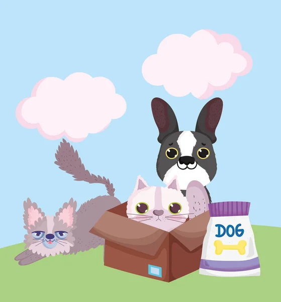 Dierenwinkel, kleine katten en hond met doos en voedsel pack dierlijke huisdier cartoon — Stockvector