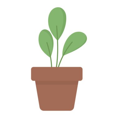 Saksı bitkisi süsleme iç bahçe beyaz arka planda izole