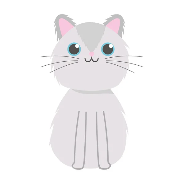 Niedlich flauschige Katze pet cartoon isoliert weißen Hintergrund Design — Stockvektor