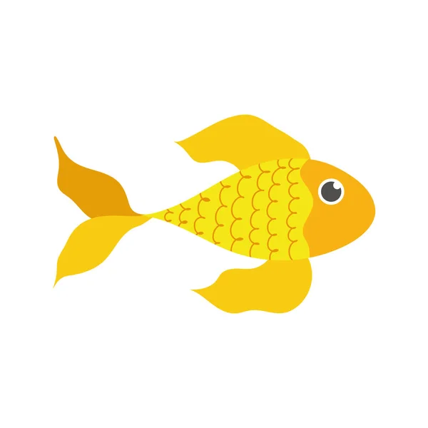 Gold fish pet cartoon isolated white background design — Stock Vector