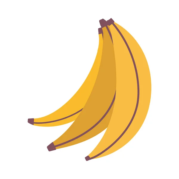 Fruta tropical fresca banana isolado fundo branco — Vetor de Stock