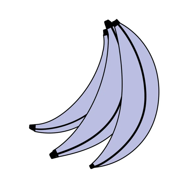 Frische tropische Früchte Banane isoliert weißen Hintergrund — Stockvektor