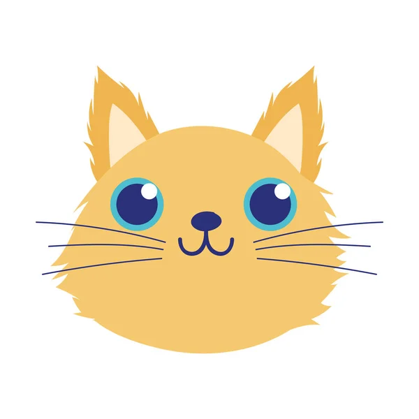Pet kis aranyos macska fej rajzfilm elszigetelt fehér háttér tervezés — Stock Vector