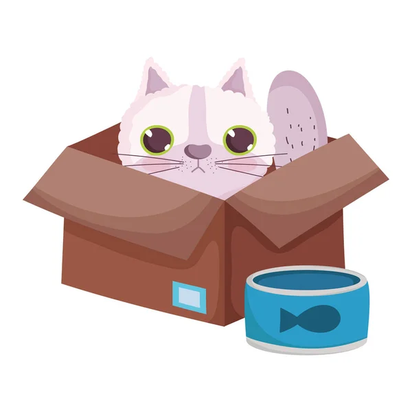 Pet shop, kočka v krabici s rybami může jídlo domácí animované — Stockový vektor