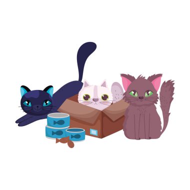 Evcil hayvan dükkanı, karton kutuda kedi ve çimen çizgi filminde yiyecek olan kedi yavruları.