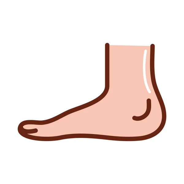 Linea di salute dell'organo anatomico del piede della caviglia del corpo umano e icona di riempimento — Vettoriale Stock