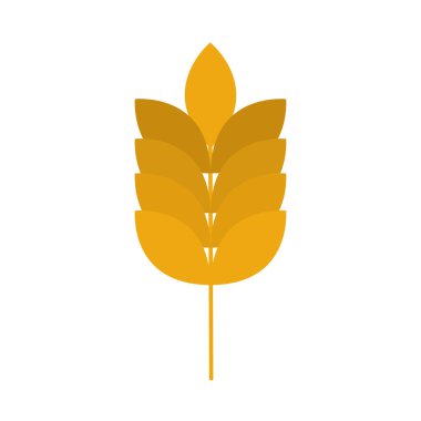 tarım ve tarım buğday düz buğday ikonu tarzı