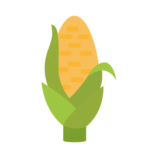 Landwirtschaft und Landwirtschaft Maiskolben Lebensmittel Getreide flache Ikone Stil — Stockvektor