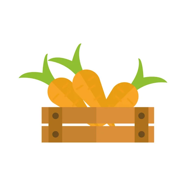 Agricultura e agricultura cenouras frescas maduras em caixa de estilo ícone plana — Vetor de Stock