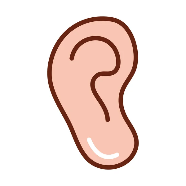 Cuerpo humano oreja anatomía órgano salud línea y llenar icono — Vector de stock