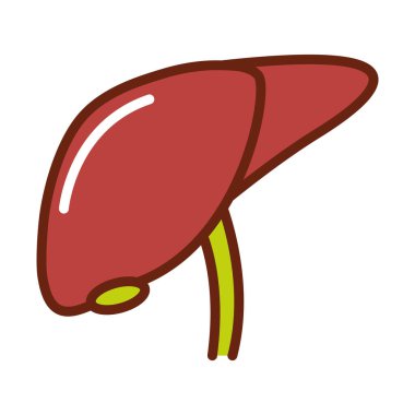 İnsan vücudu karaciğer anatomisi organ sağlık hattı ve ikonu doldur