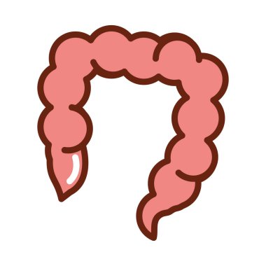 İnsan vücudu kalın bağırsak anatomisi organ sağlığı hattı ve ikonu doldur
