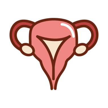 İnsan vücudu kadın üreme sistemi anatomi organ sağlık hattı ve ikonu doldur