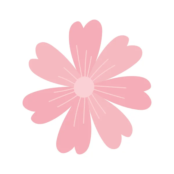 Цветок розовые лепестки украшения изолированный белый дизайн фона — стоковый вектор