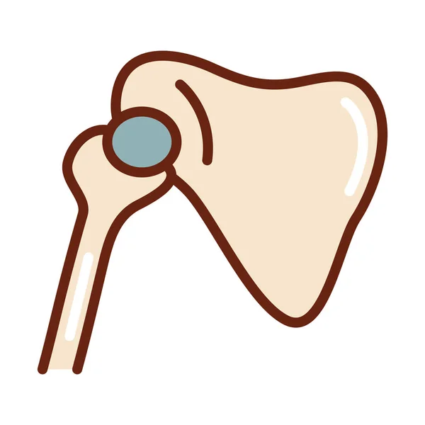 Human body limb bone arm scapula anatomy organ health line and fill icon — Stock Vector