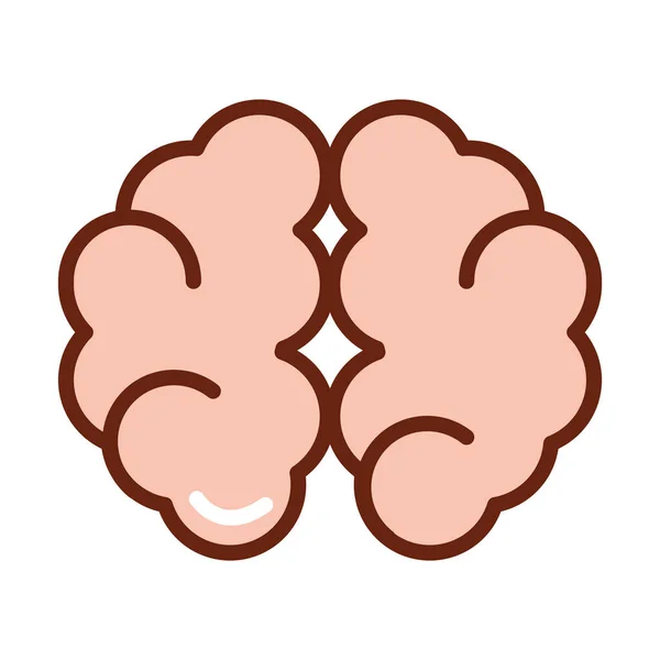 Corps humain cerveau hémisphère cérébral anatomie organe santé ligne et remplir icône — Image vectorielle