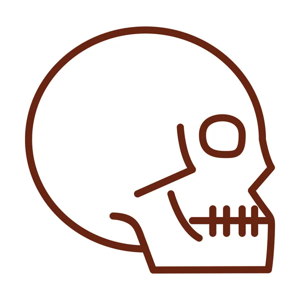Menselijk lichaam schedel anatomie orgaan gezondheid lijn pictogram stijl — Stockvector