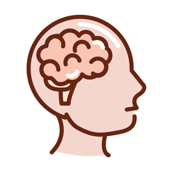 Perfil del cuerpo humano anatomía cerebral línea de salud de órganos e icono de relleno — Vector de stock