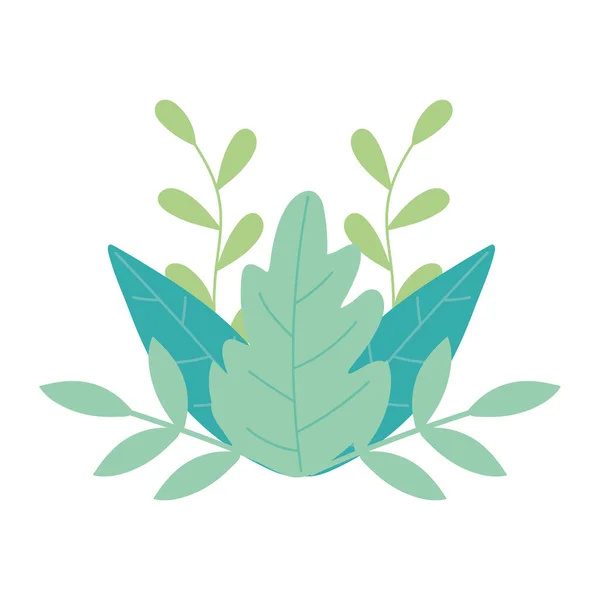 Hojas verdes follaje planta decoración aislado blanco fondo diseño — Vector de stock